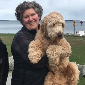 Meet your Posher, Julie